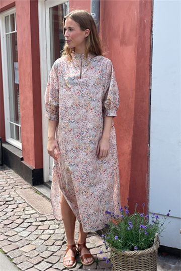 Soil Aarhus Dixie Clementina Rose